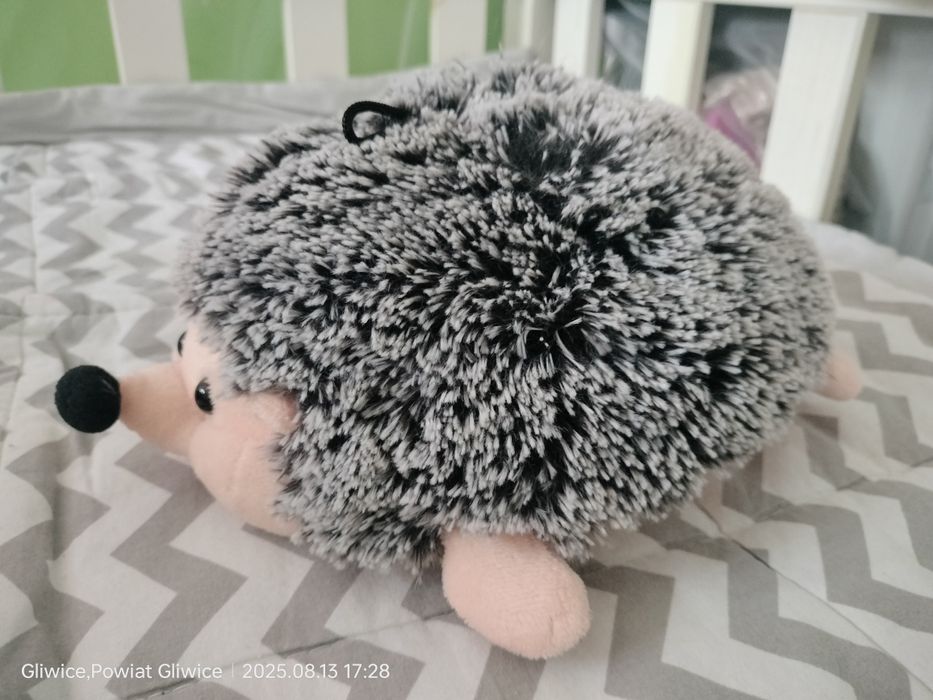 Maskotka jeż sliczna