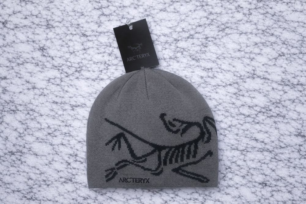 Шапка Arc’teryx Bird Head One size