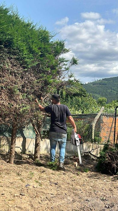Limpezas de jardins e terrenos