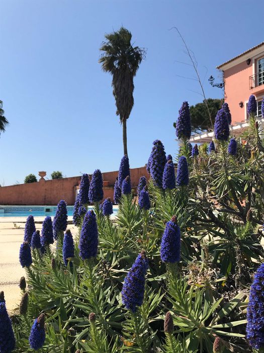 Quinta de Eventos
