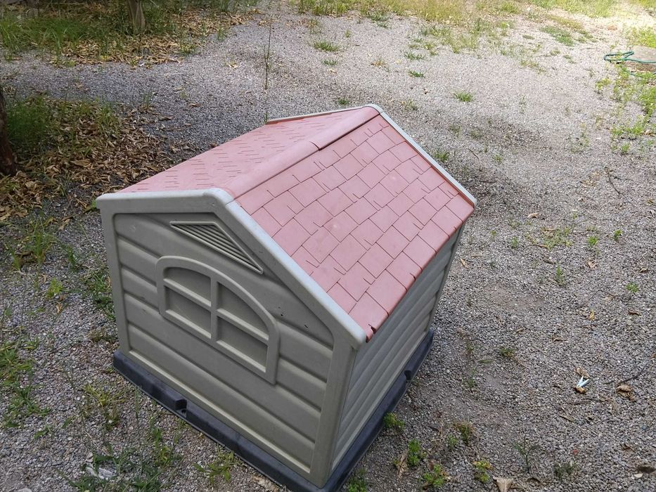 Casota de cão (porte médio/grande)