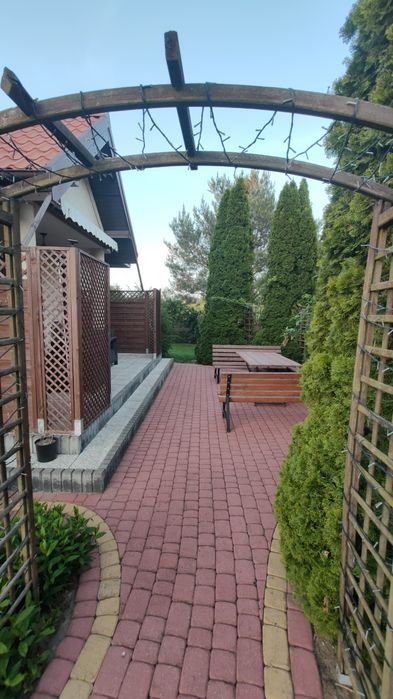 Zdjęcie 2