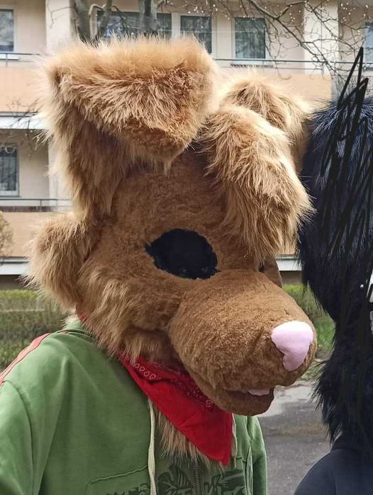fursuit furry pies brązowy head, lapy i ogon