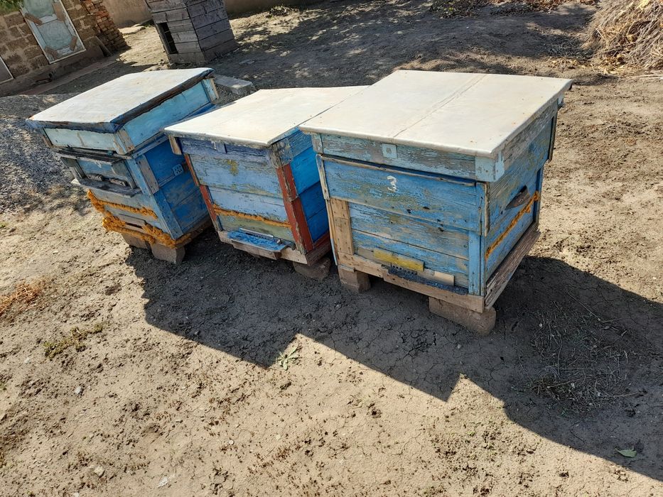 Продам улики для пчёл