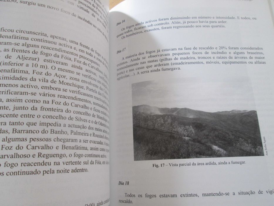 Pulmão do Sul a Verde e a Fogo, de Ana Maria Nunes