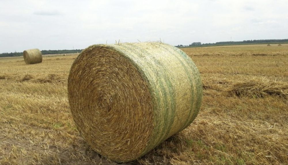 Słoma bele 150 sucha