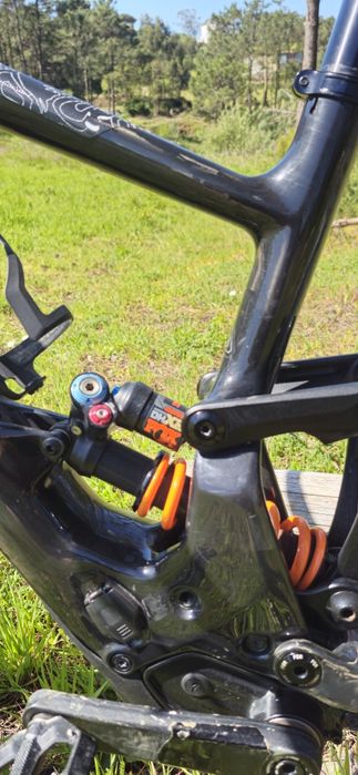 Specialized kenevo sl