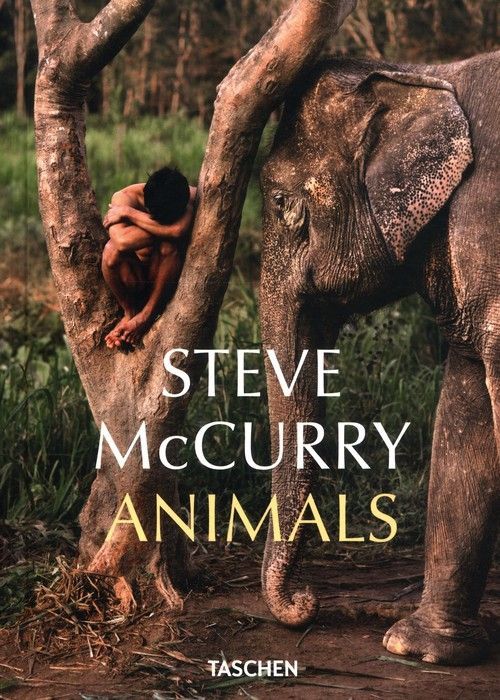 Animals Mccurry Steve