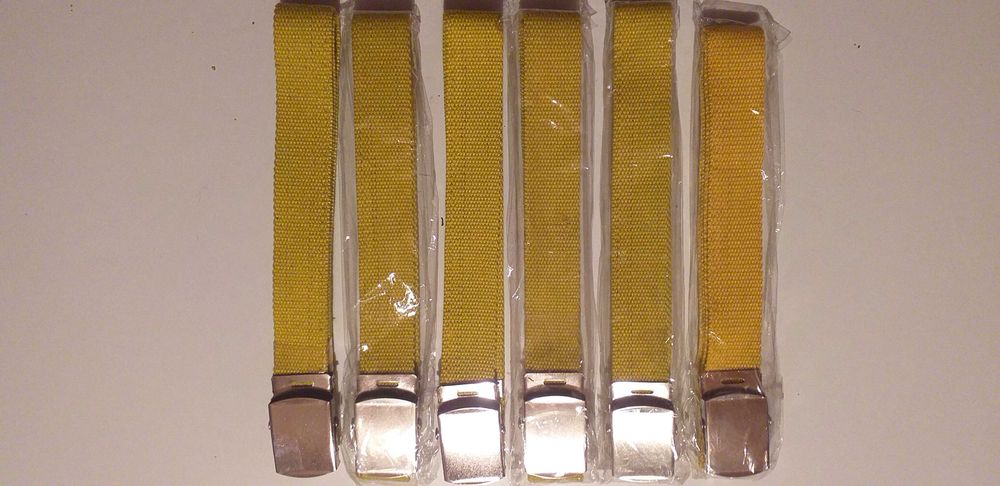 Cintos - lote 1 - novos - portes incluidos