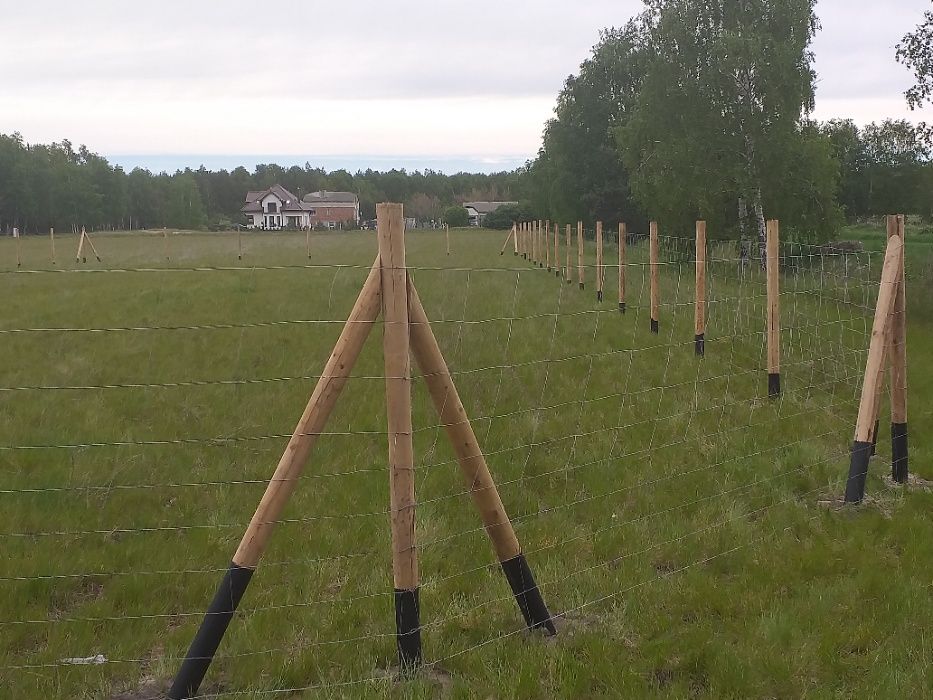 ogrodzenie budowlane tymczasowe  leśne pola upraw siatka leśna