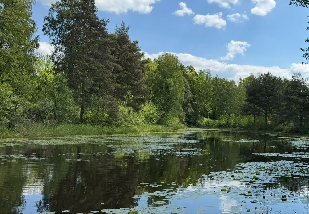 Działka budowlana przy stawach