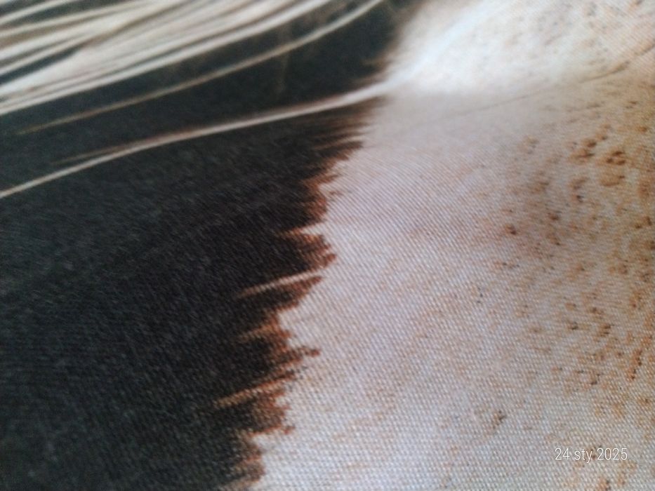 Poszwa na kołdrę 140x200cm i poduszka  60x70cm