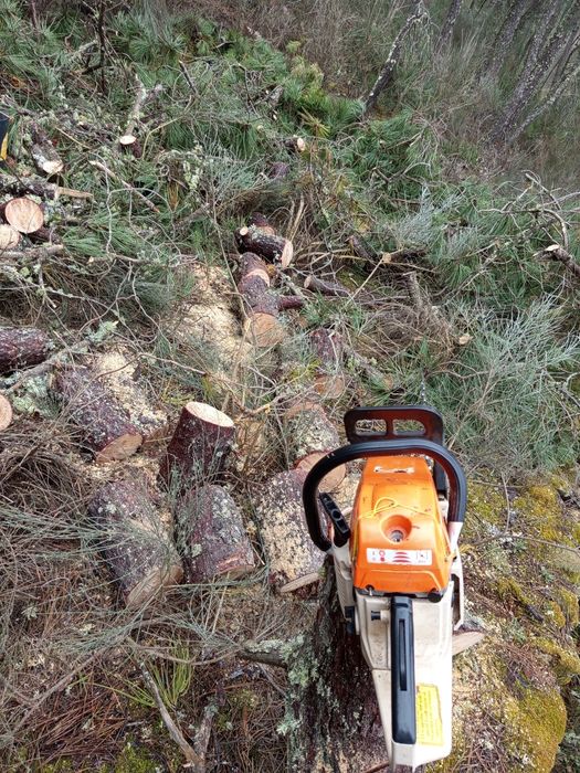 Limpezas e desbastes