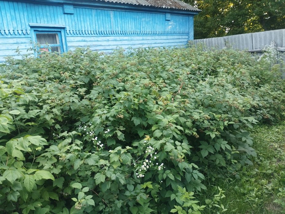 Продаж будинку 70м² (торг)