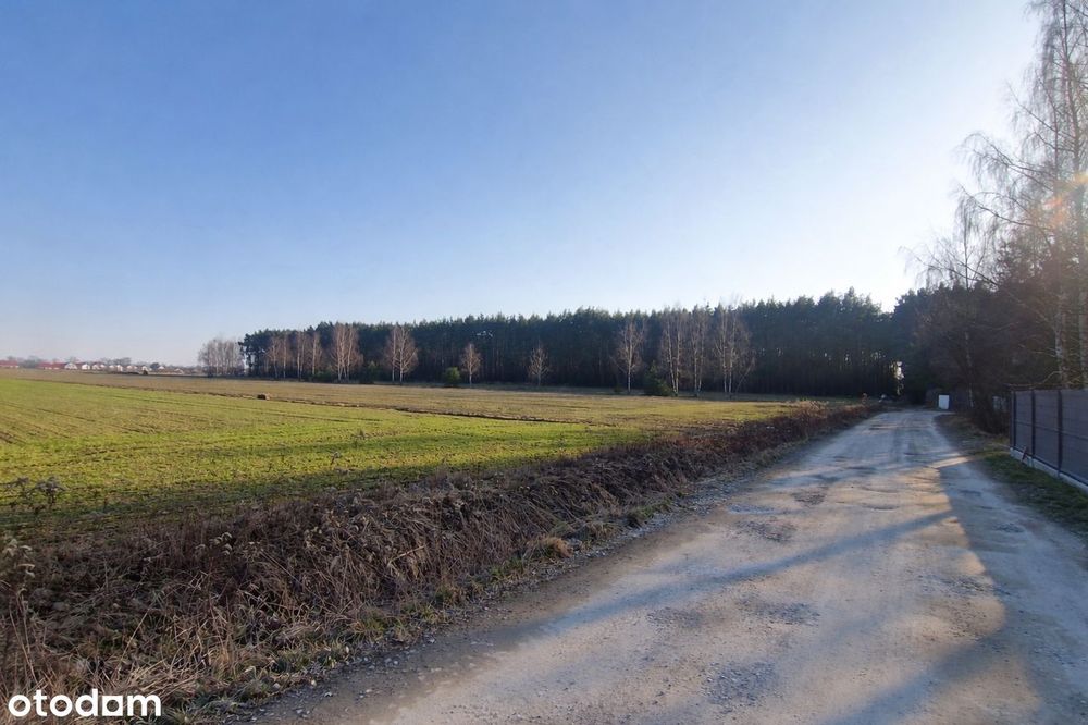 Działka budowlana blisko lasu