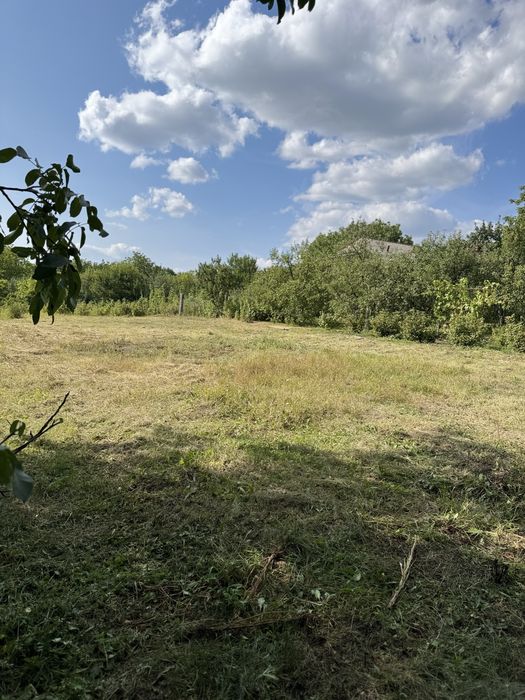 Будинок на першій лінії ставка