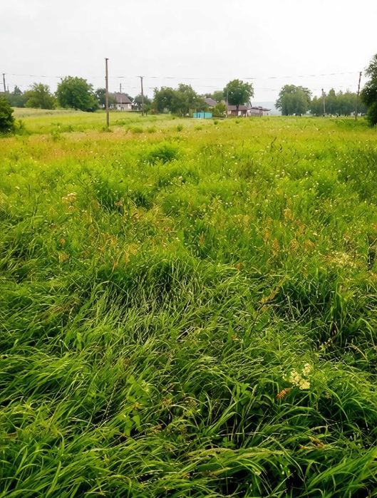 Продаж земельної ділянки Рівненська область