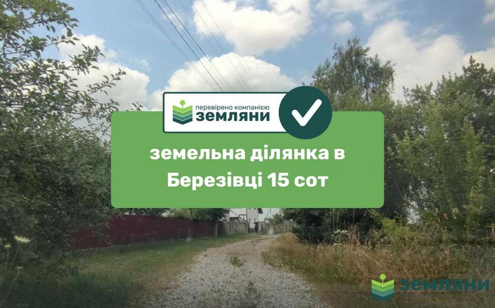 Продається земельна ділянка в с. Березівка 15сот (7)