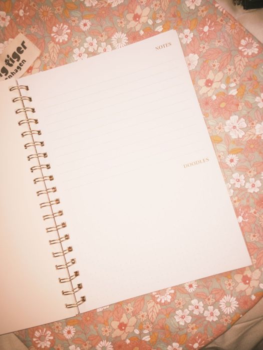 Saco acompanhado com caderno