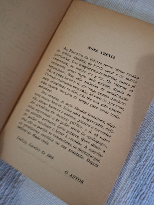 M. Antunes Ao Encontro da Palavra crítica literária