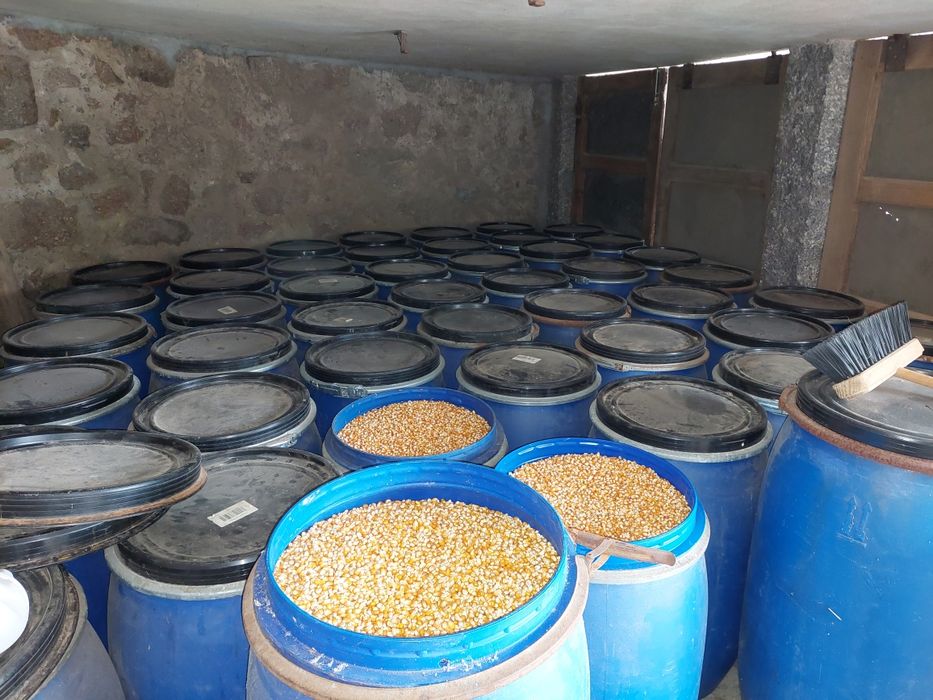 Milho Miudo 6€ por 15Kg
