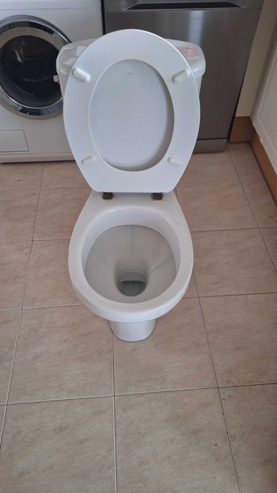 Sanita com autoclismo roca