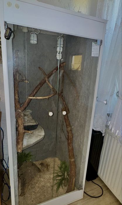 Terrarium duże 60x60x160