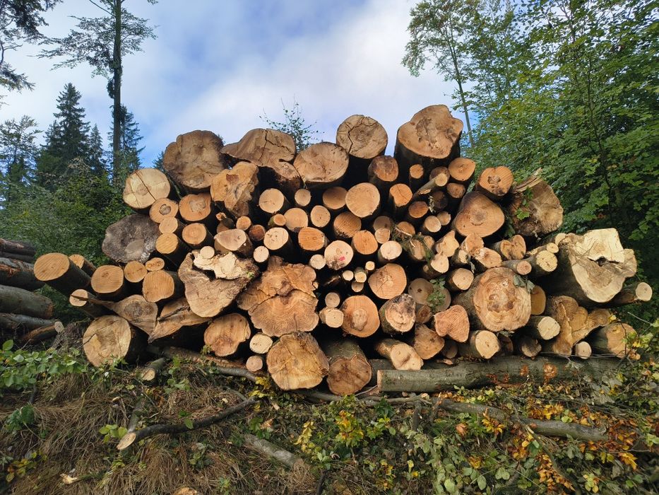 Drewno opałowe świerk