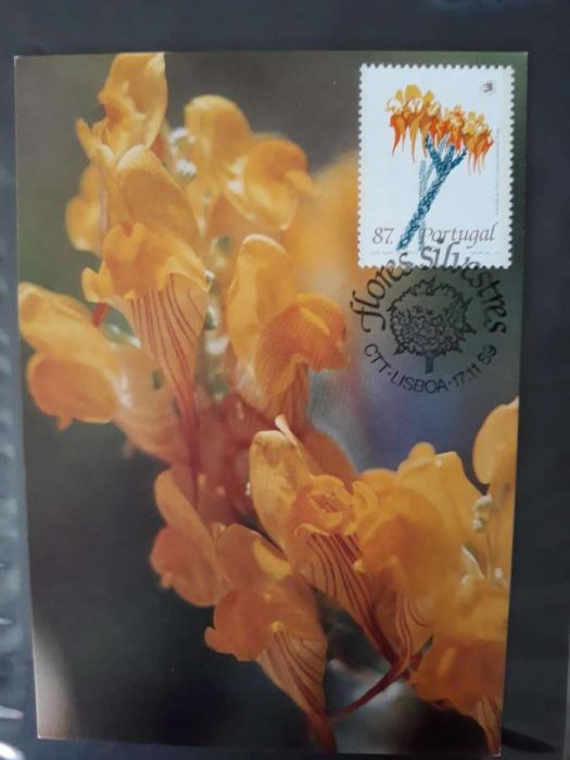 4 Inteiro postal 1989