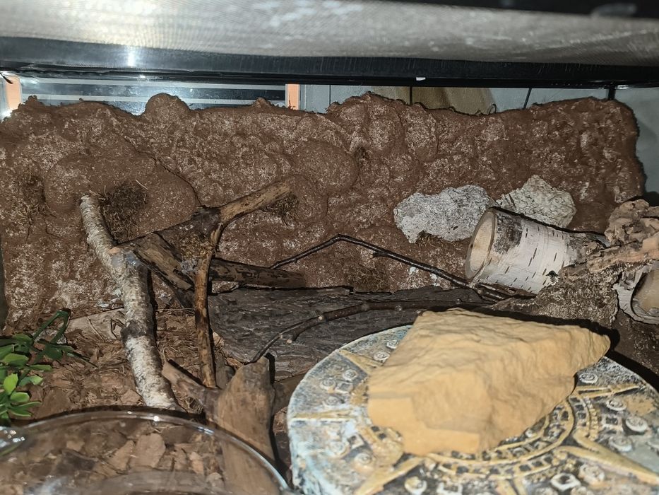 Terrarium Exoterra 60x45x30