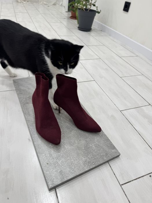 Продам жіночі ботільйони - чулок