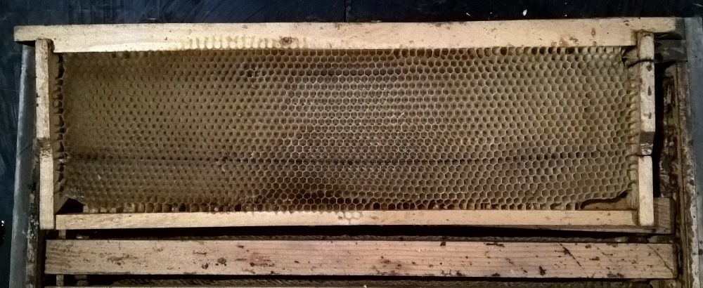 Сушь пчелиная (рамки сотовые) 145мм - 10шт.