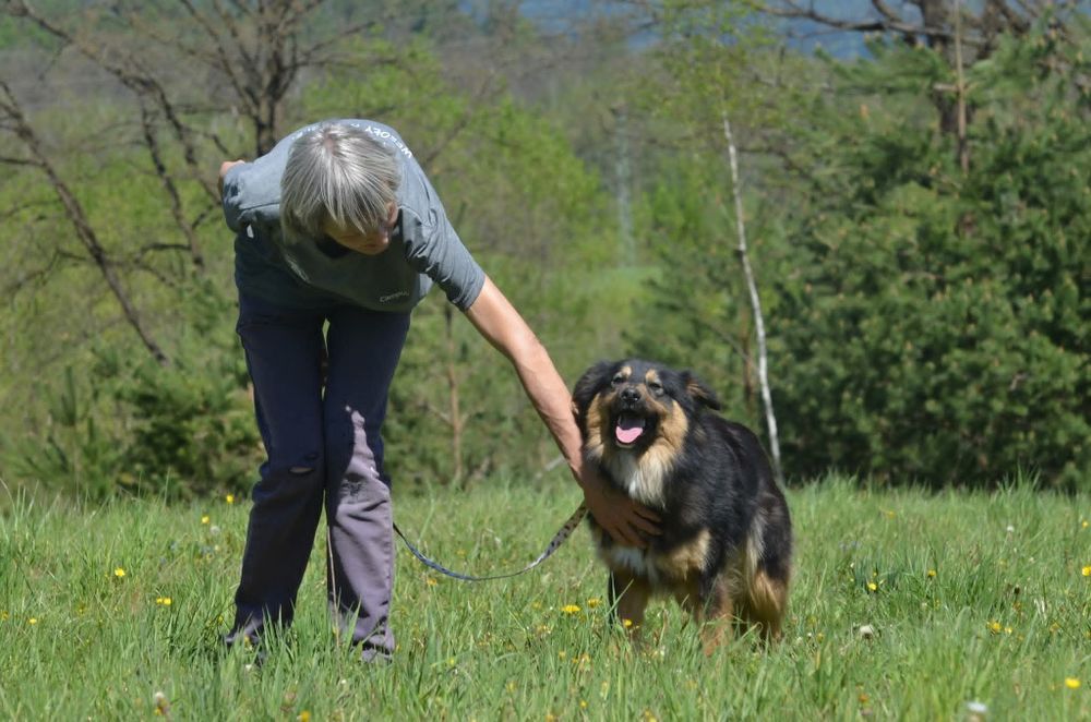 Mati- do adopcji