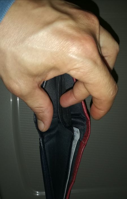 Carteira Lion of porches