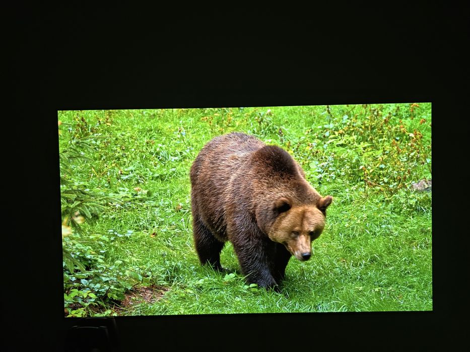 Lg oled C4 65 cali