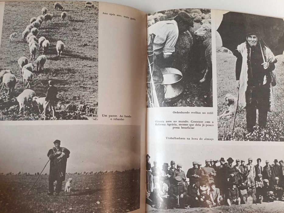 "Terras Velhas Semeadas de Novo" por Antunes da Silva