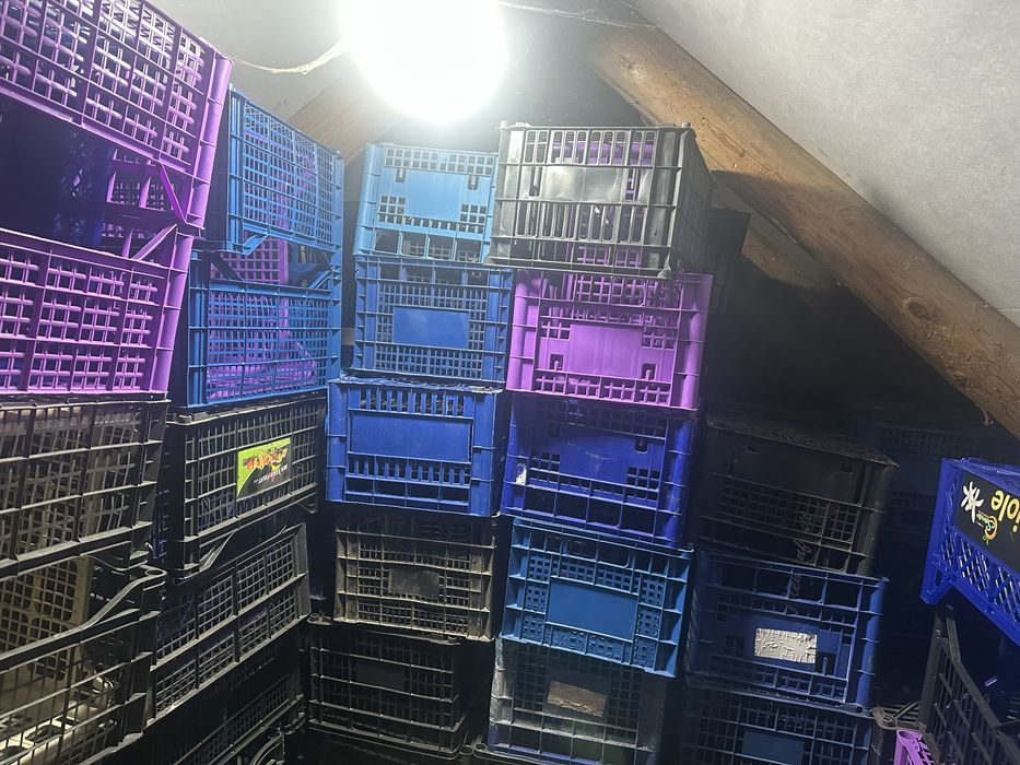 Ящики пласмасові, різні, бананові ящики