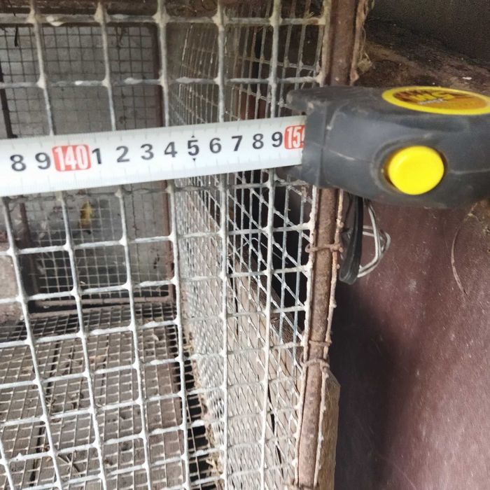 Клітки металеві для кролів, нутрій