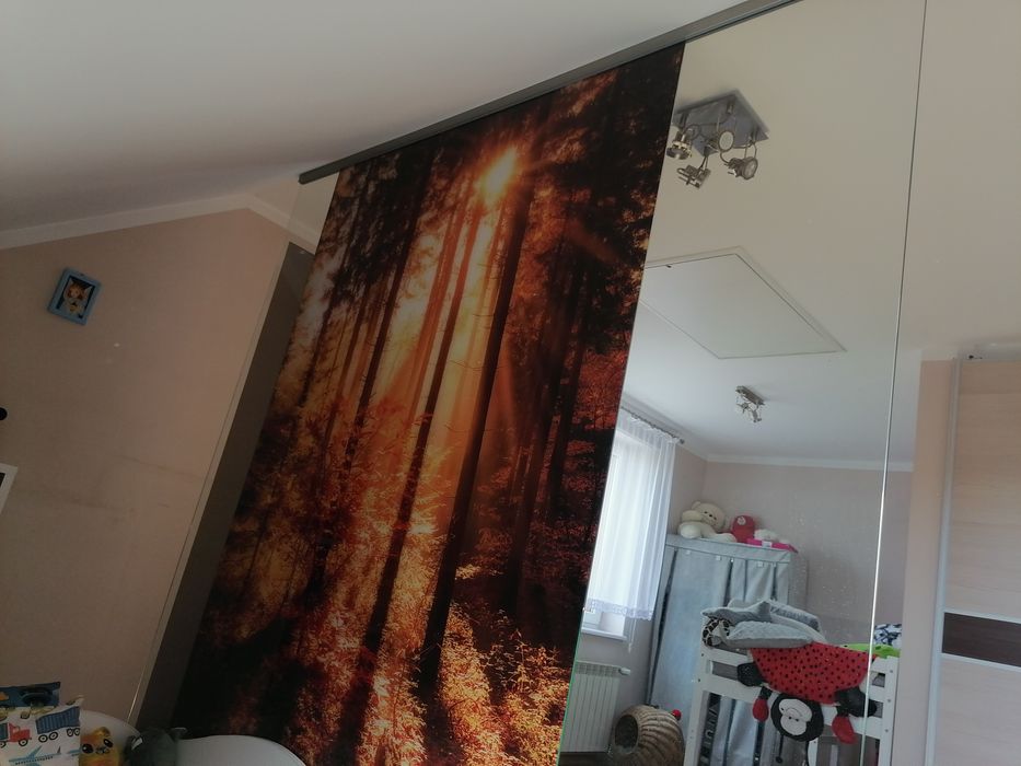 Ścianka szklana z grafiką