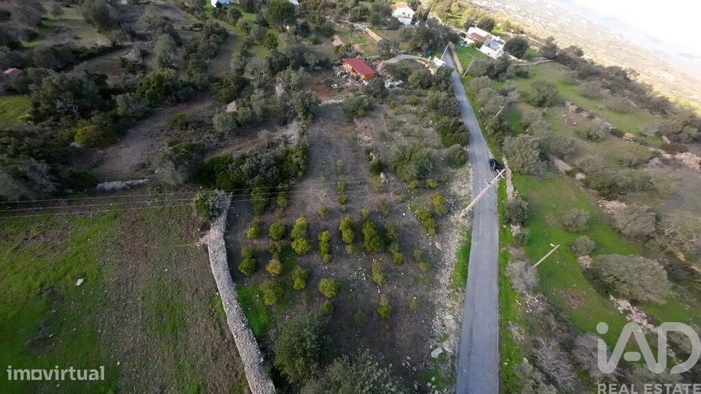 Terreno Agrícola em Conceição e Estoi