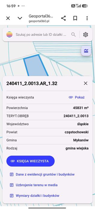 Sprzedam grunty orne 4,59 ha - Widok 3