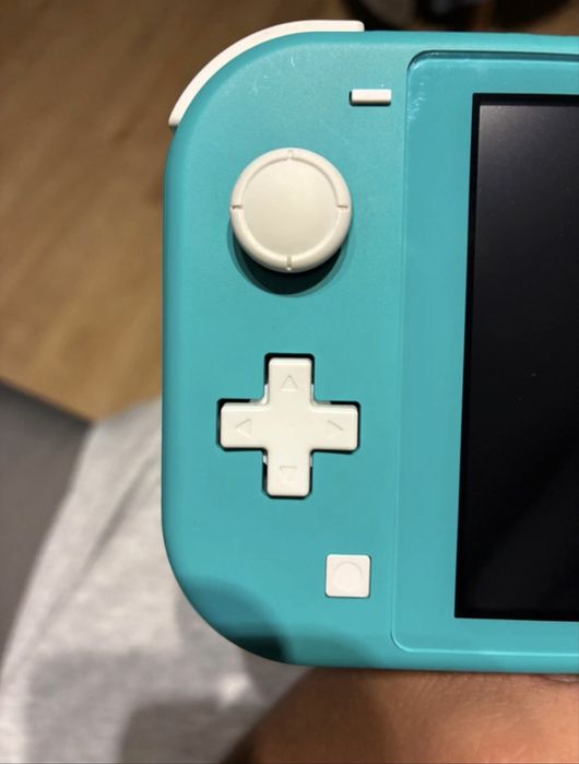 nintendo switch lite +futeral