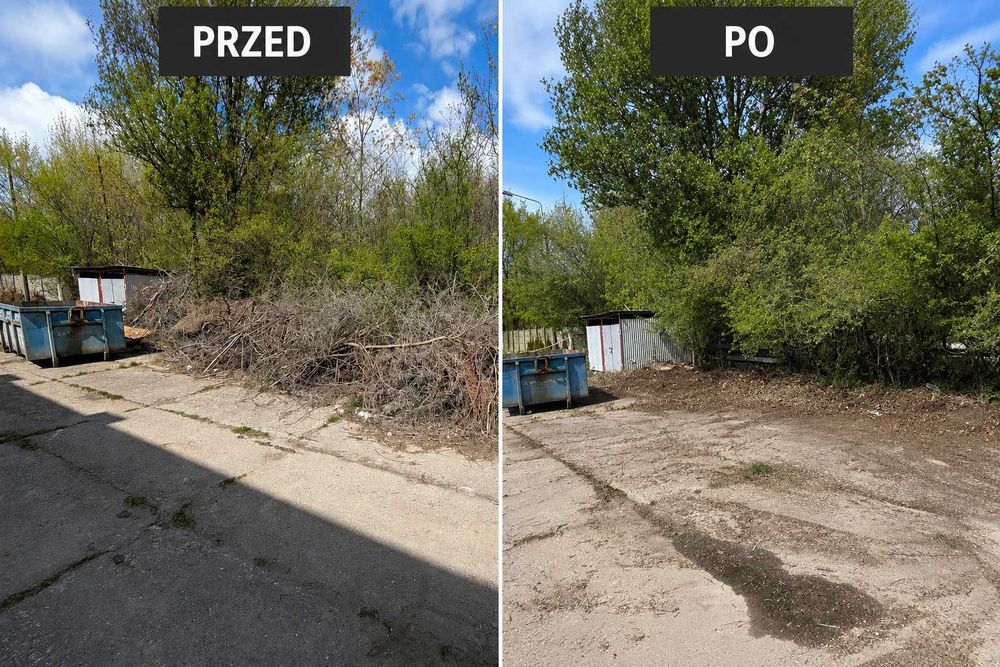 Wywóz odpadów zielonych Wywóz gałęzi Wywóz liści Łask Odbiór Gałęzi Sprzątanie działek Grabienie liści Koszenie trawy Odbiór trawy