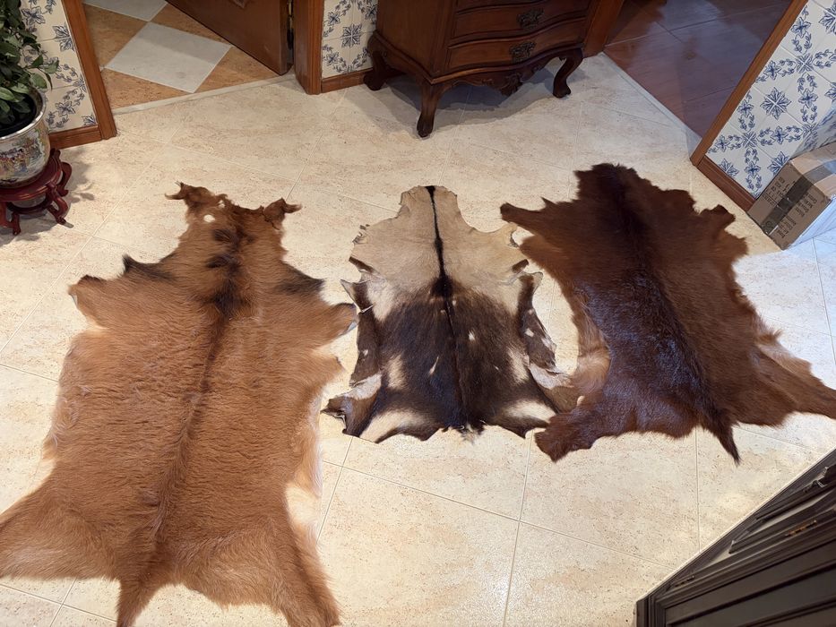 Peles variadas / tapetes