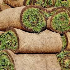 Trawa trawnik  z Rolki sprzedaż transport montaz