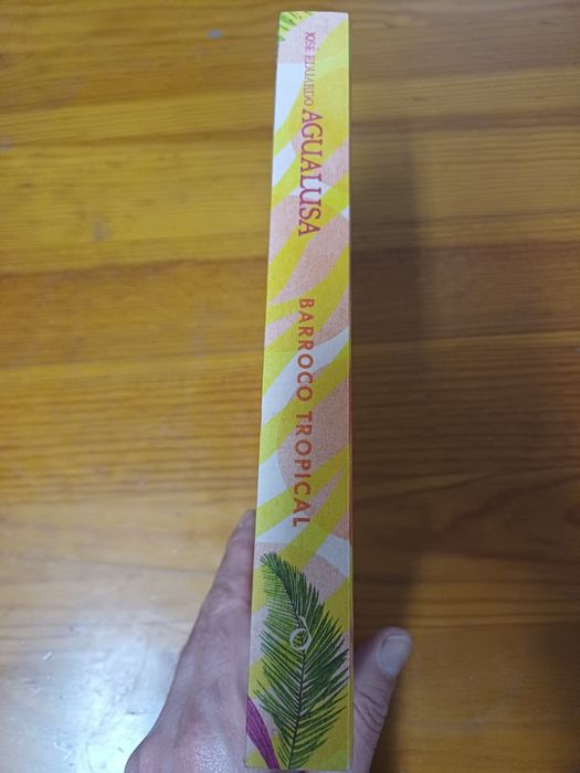 Barroco Tropical