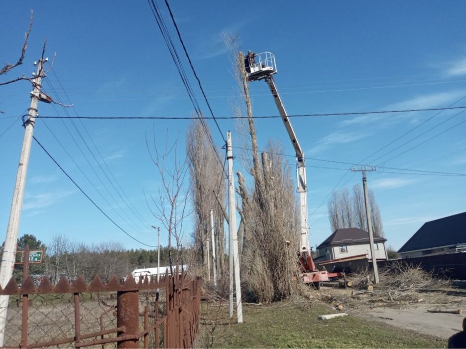 Спилить дерево, обрезка, удалить кронировать !