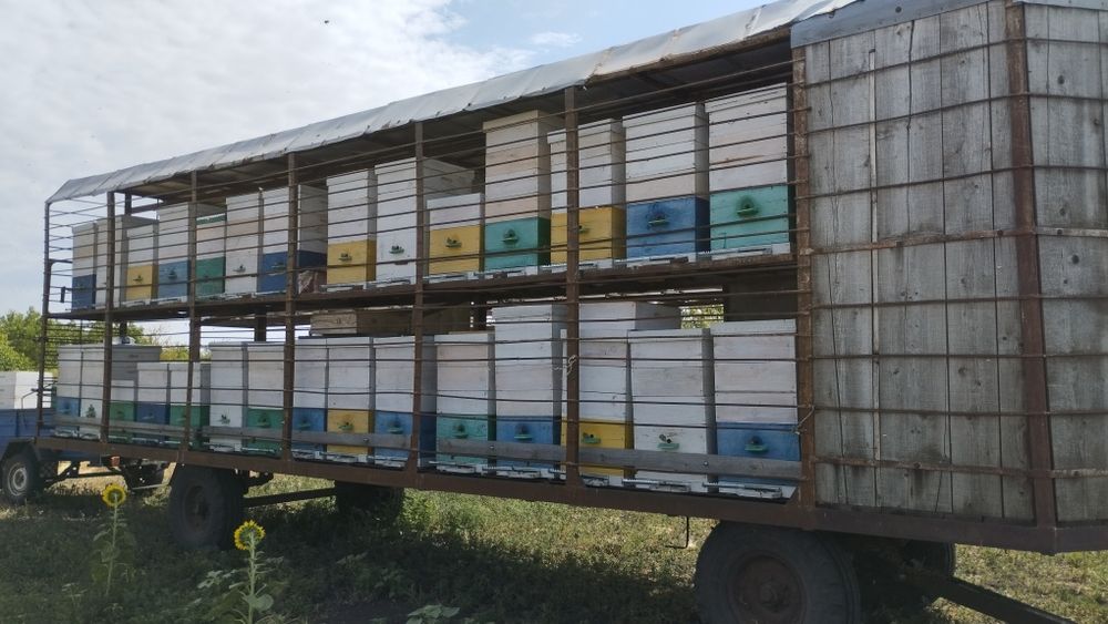 Продам бджоло причіп