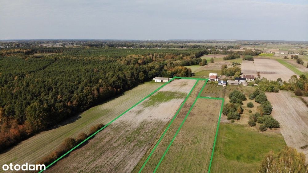 Działka budowlana Trzęśniew, gmina Kościelec