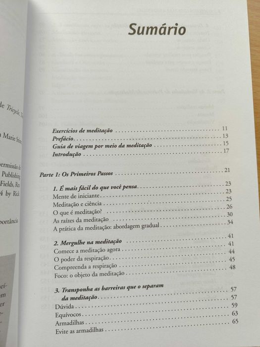 O melhor guia para a Meditação Victor N.  Davich